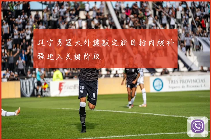 辽宁男篮大外援敲定新目标内线补强进入关键阶段